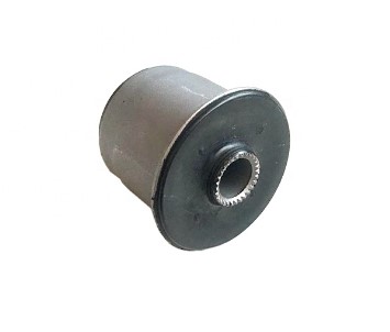 Ust Salincak Burcu- Actyonkyron