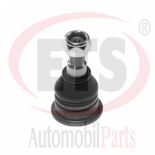 Rotil Alt- Maxima 94-00