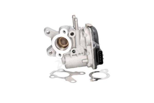 Egr Valfi  Navara 2005-2015