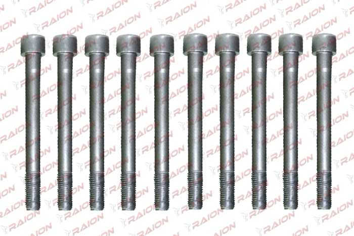 Silindir Kapak Saplama Takim (10 Ad)- Accent 95-00